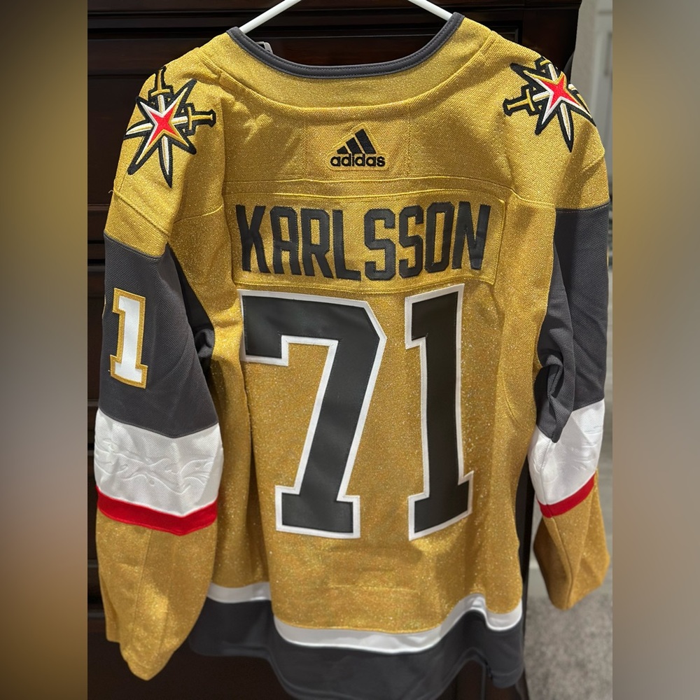 BNWT! VGK Jersey